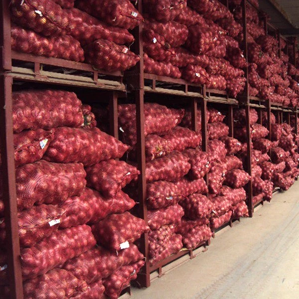 Fresh New Crop Red Onion high quality