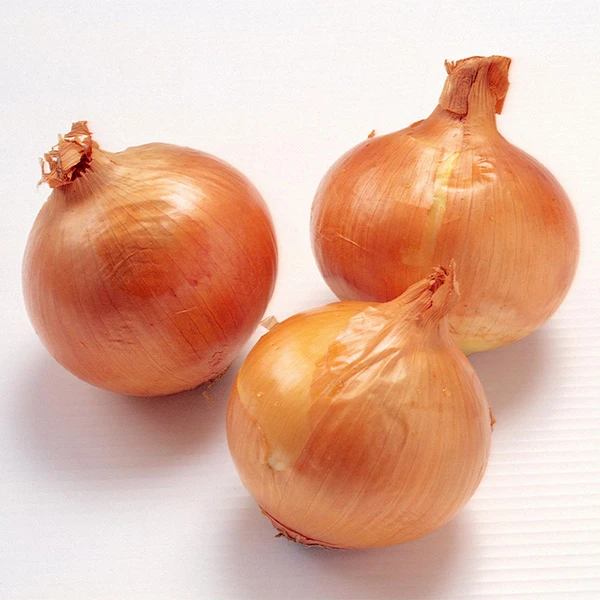 Yangi organik 20kg qadoqlangan sariq piyoz