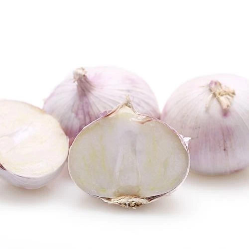 Yagona chinnigullar Yakkaxon sarimsoq Yunnan Original